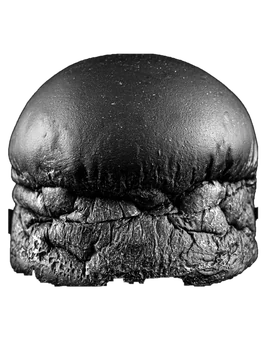 Pan brioche HIGH BLACK de Briox Baker